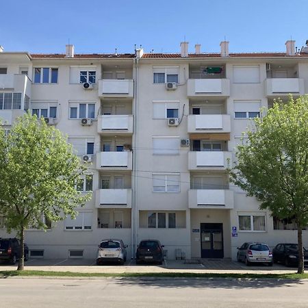 Apartman Senjak Пирот Екстериор снимка